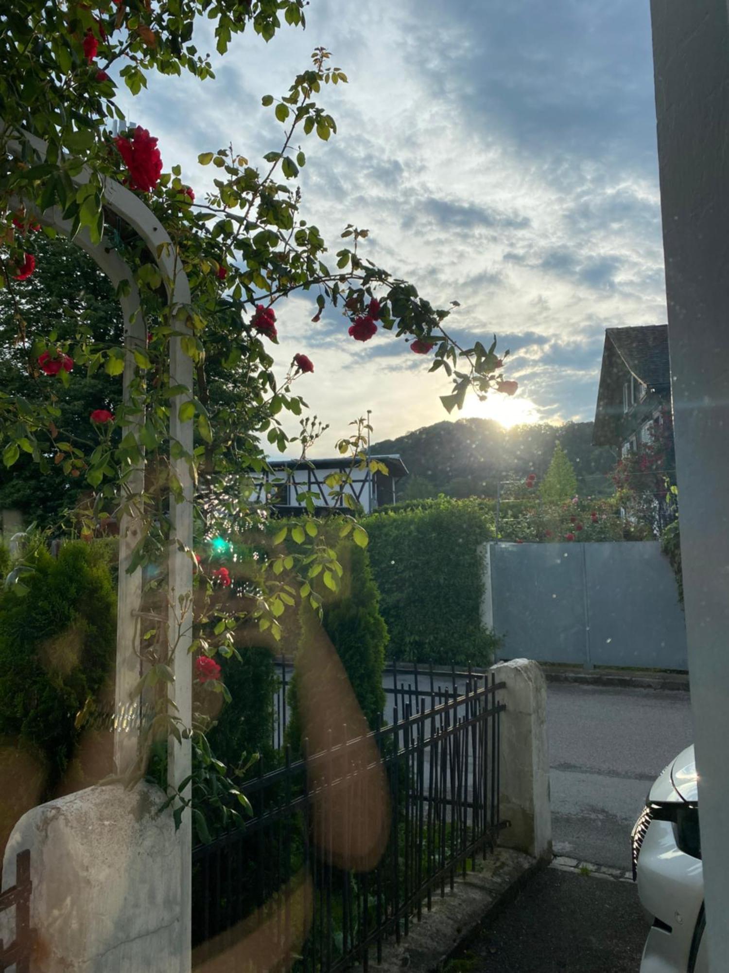Mia Apartment Lustenau Εξωτερικό φωτογραφία
